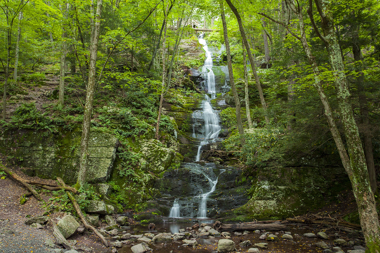 buttermilkbigstopper11280.jpg