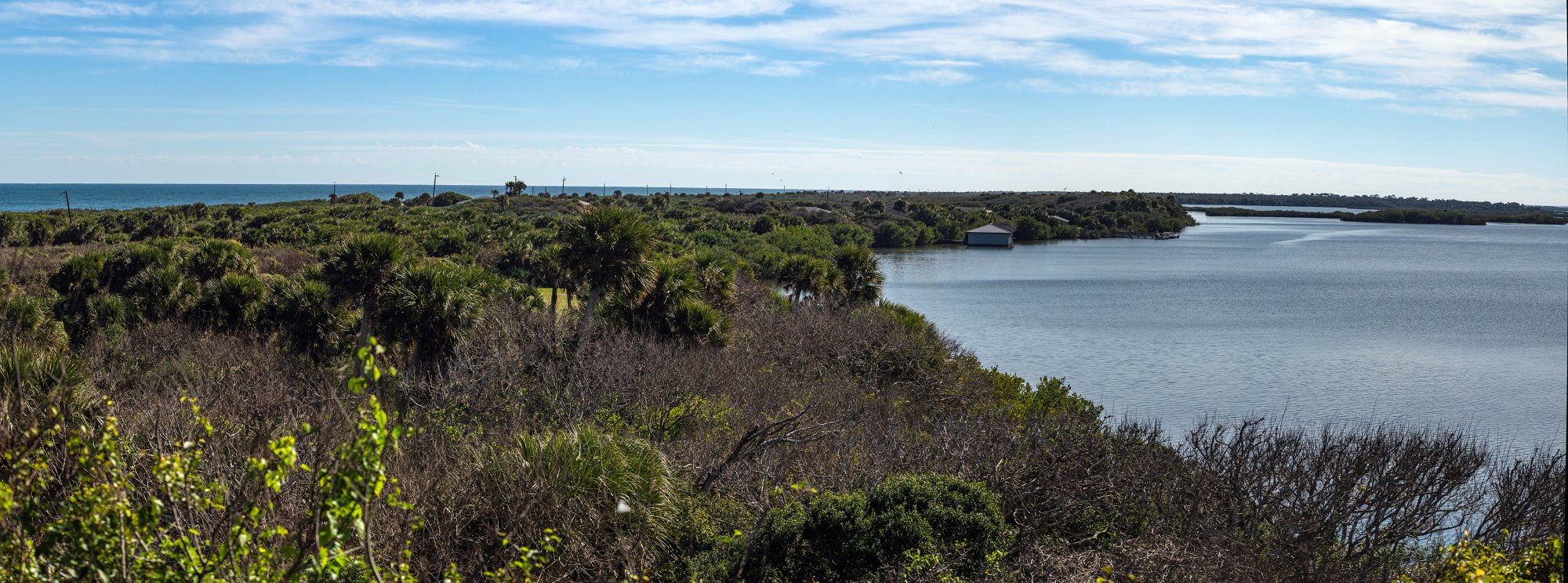 Canaveral NP Sew Symnra1 3000px.jpg