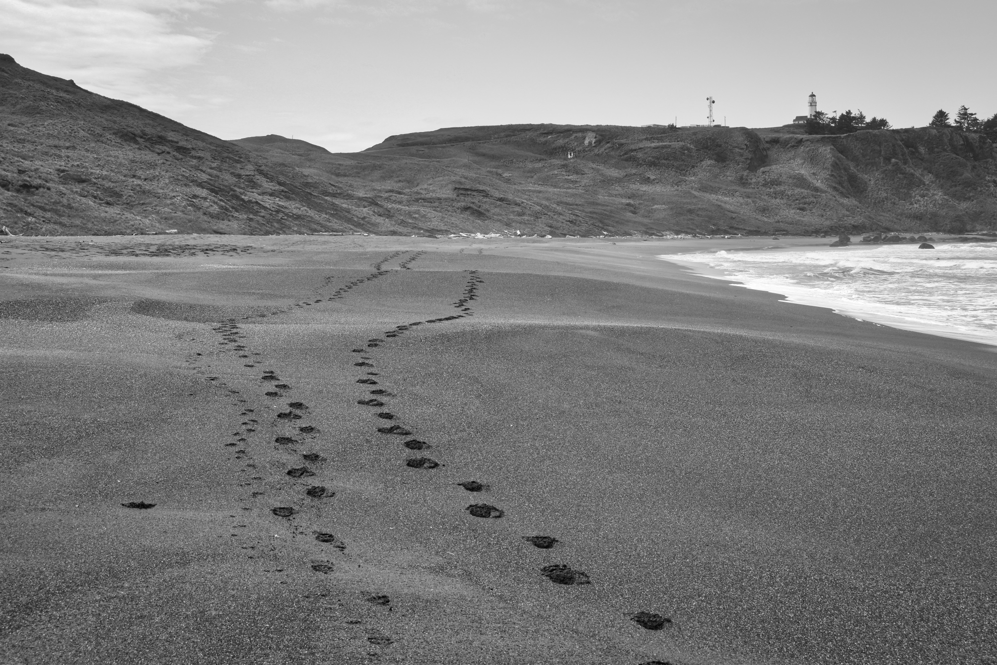 Cape_Blanco_Foot_Prints_In_the_Sand-BW.jpeg