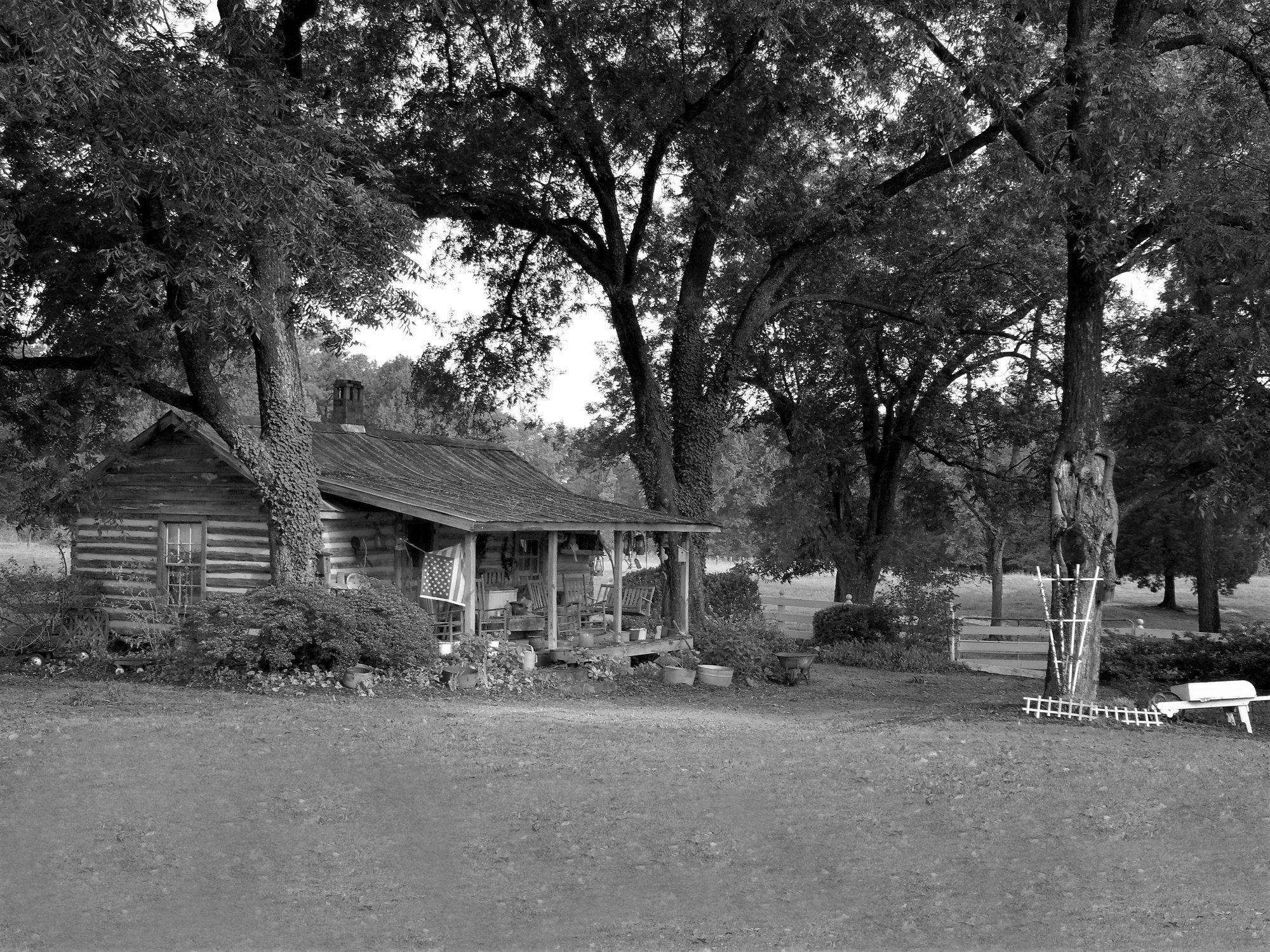 Carpenter, NC Cabin.jpg