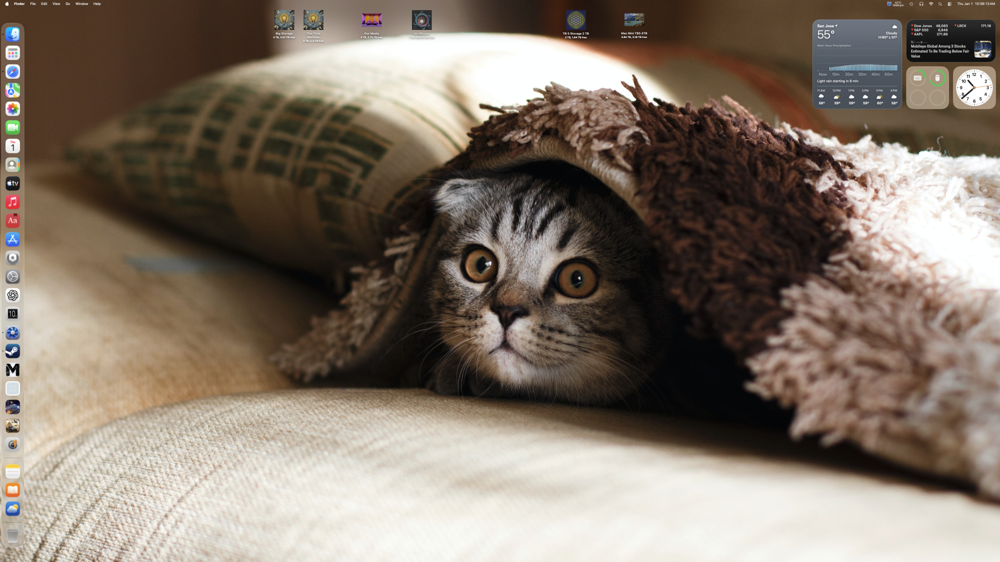 cat in a blanket.png