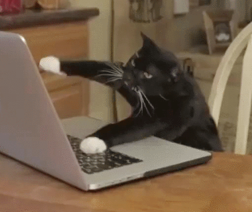 Cat+typing-3225470516.gif