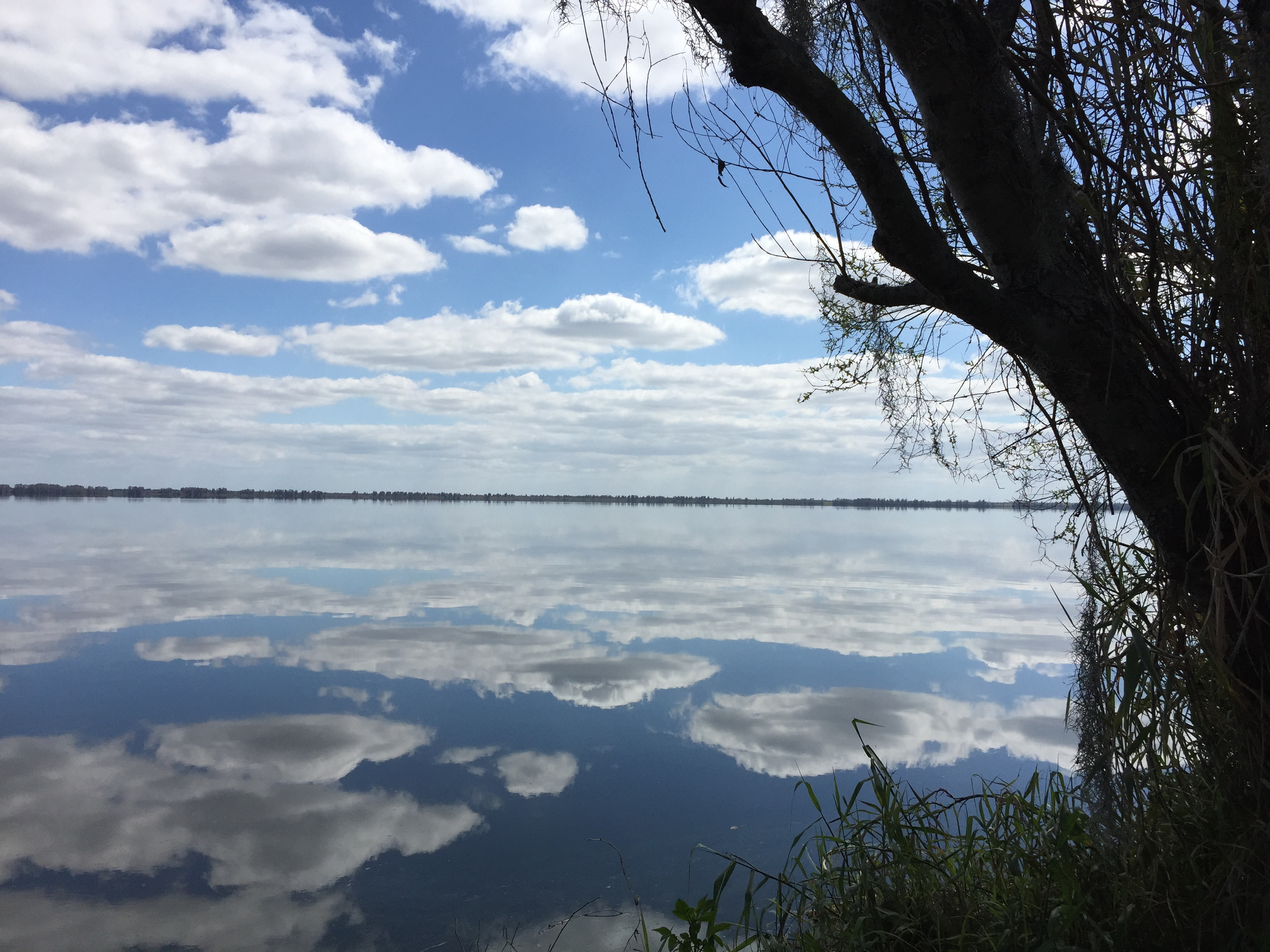 CCBar Reserve 1 Lake Hancock.sm.jpg