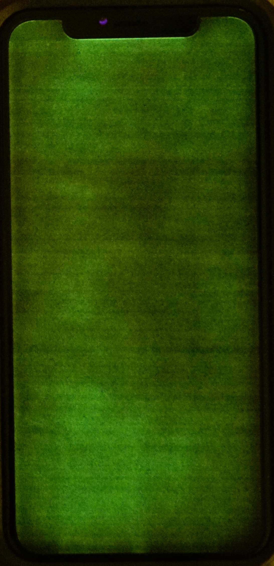 CE51DB4D-CDDD-4798-B844-63521F442B50.jpeg