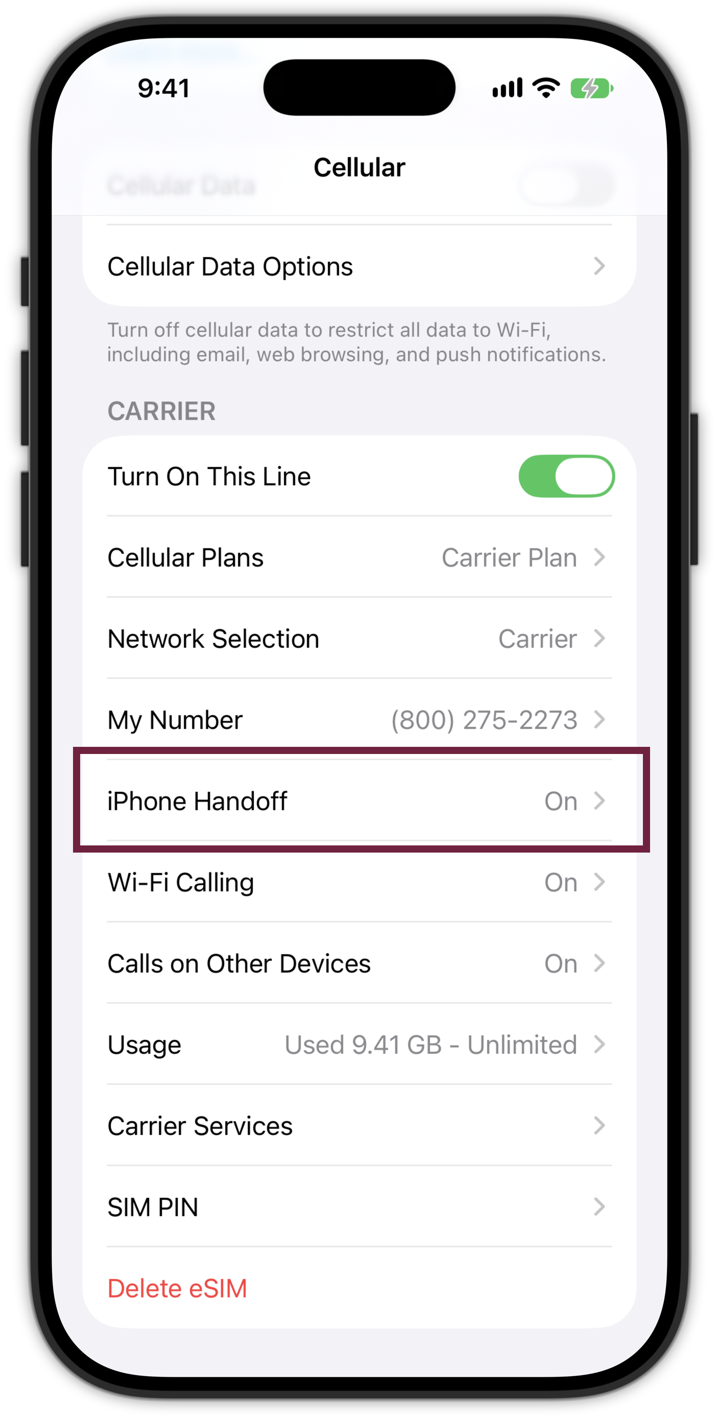 Cellular Data Options.png