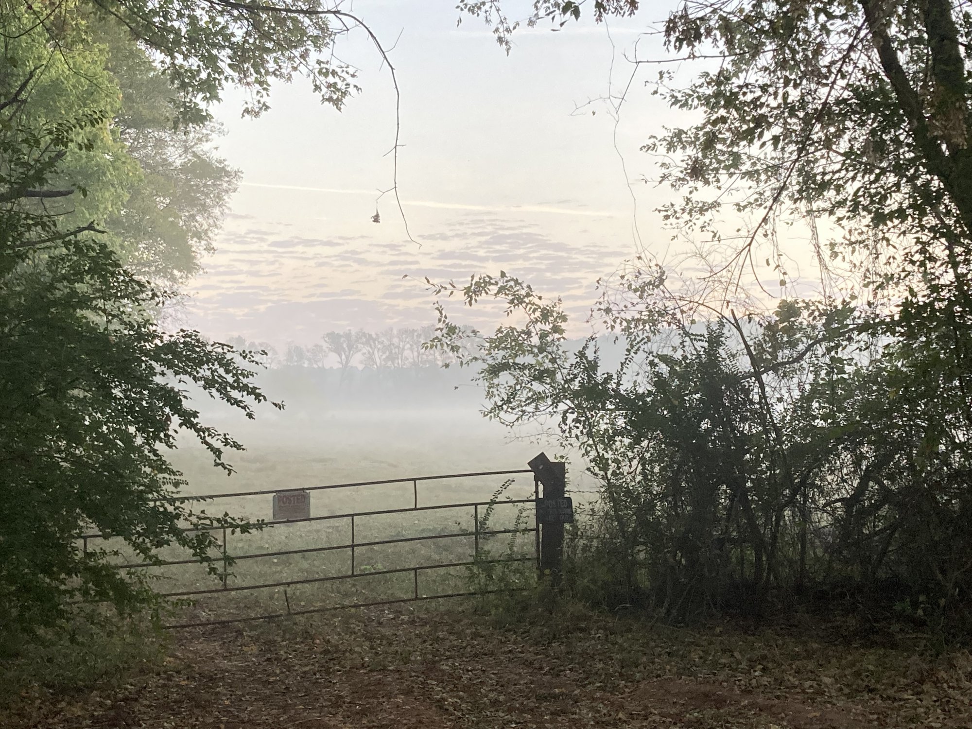 CF088118-6D24-477B-BA33-22E6A9EE8964.jpeg
