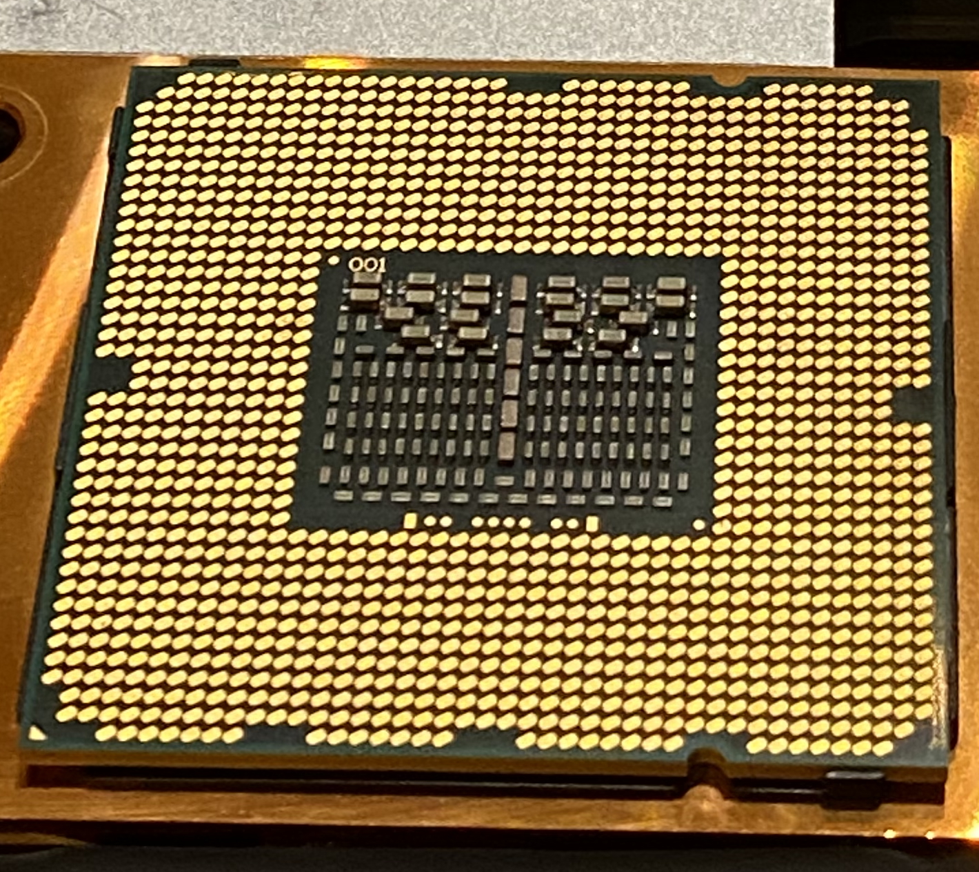 chip.jpg