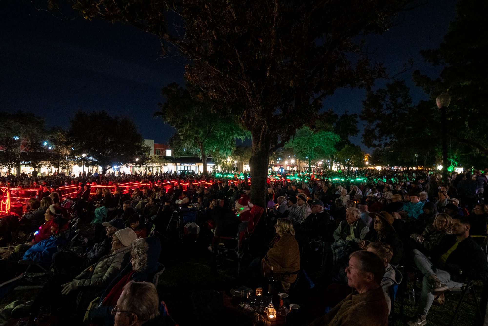 Christmas in Park-2500px-6.jpg