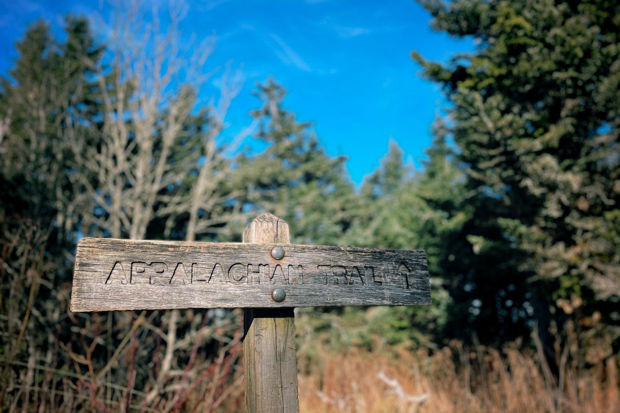 Clingmans_Dome_03.jpg