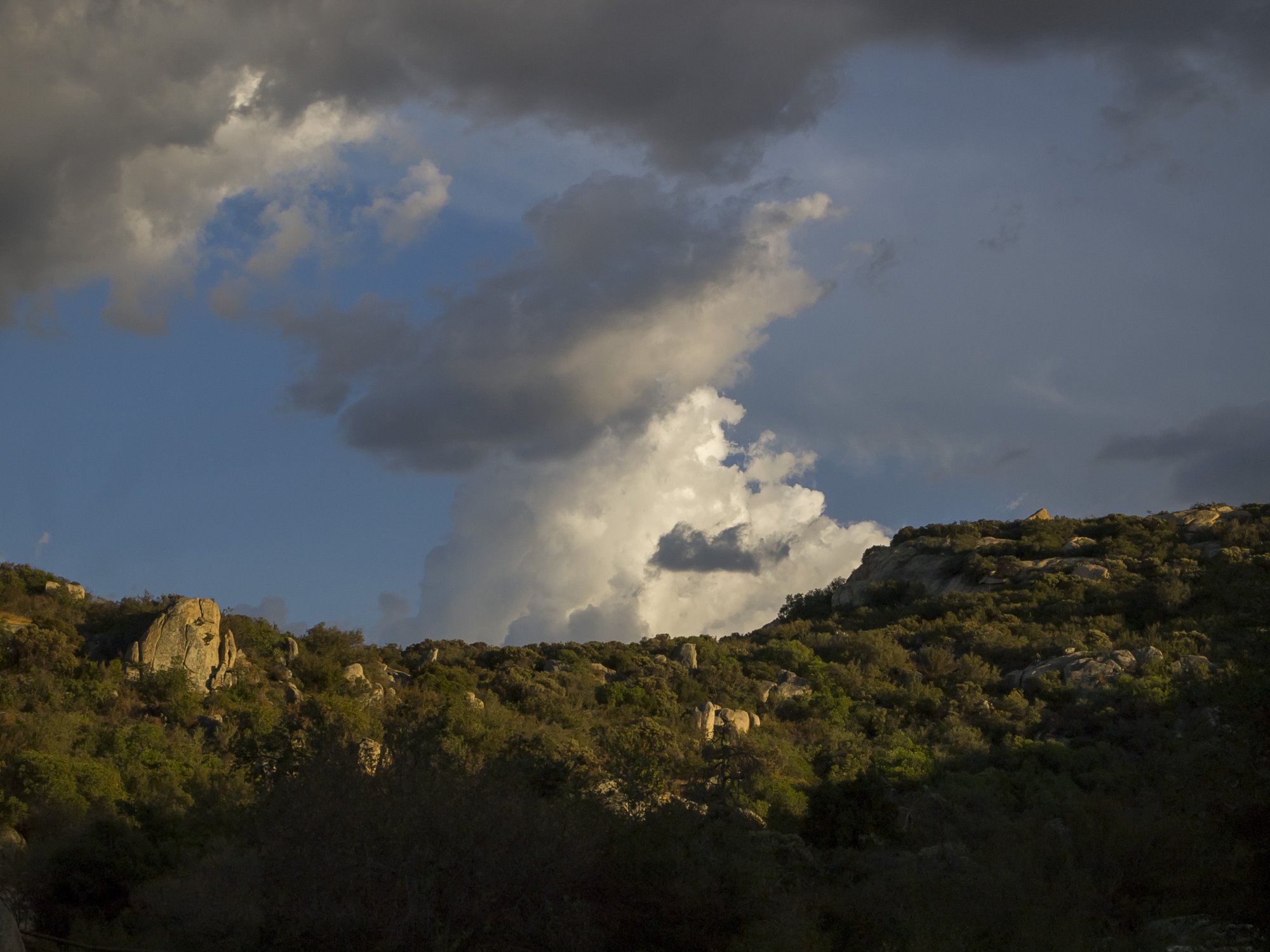 clouds 1305 rw 9.3.22.jpg