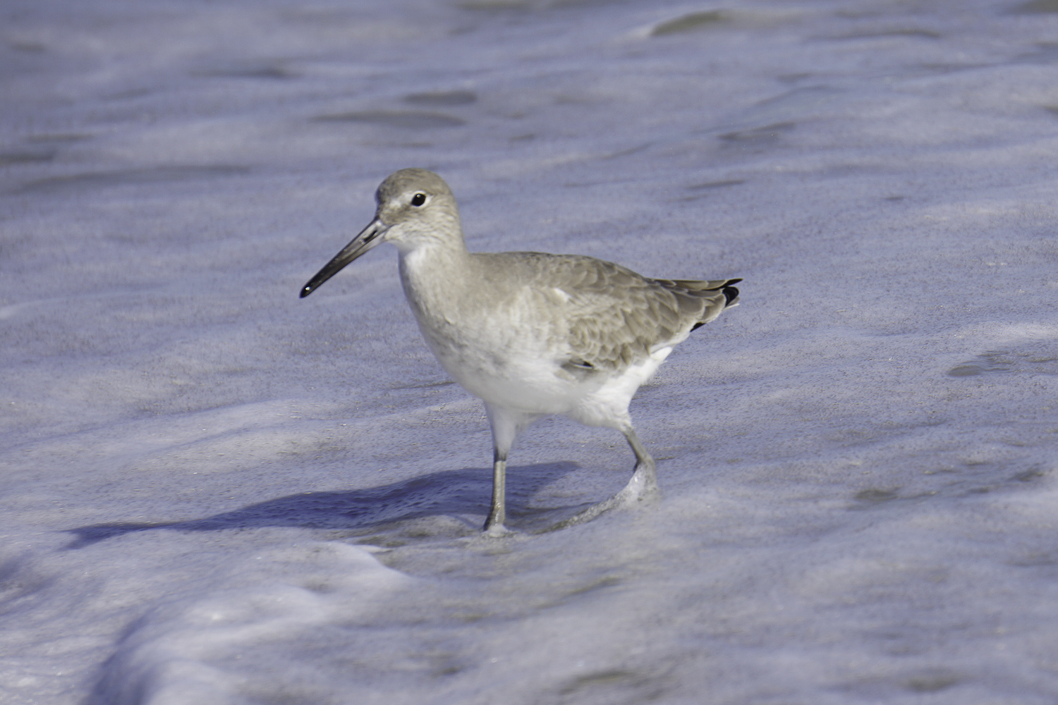 Cocoa Beach 1500px-6.JPG