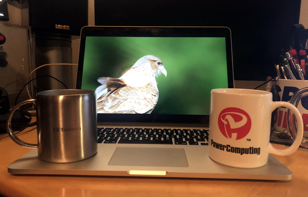 Coffee mugs.jpg