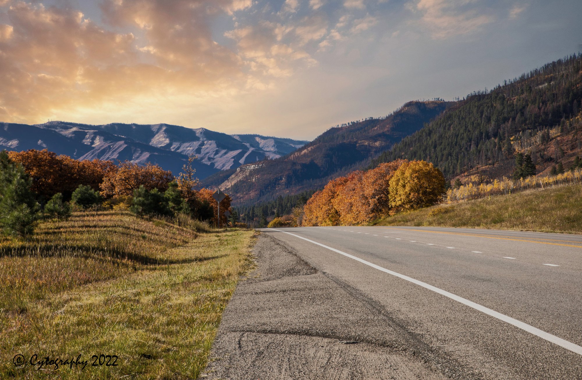 Colorado Fall 2022-2-cytog.jpg