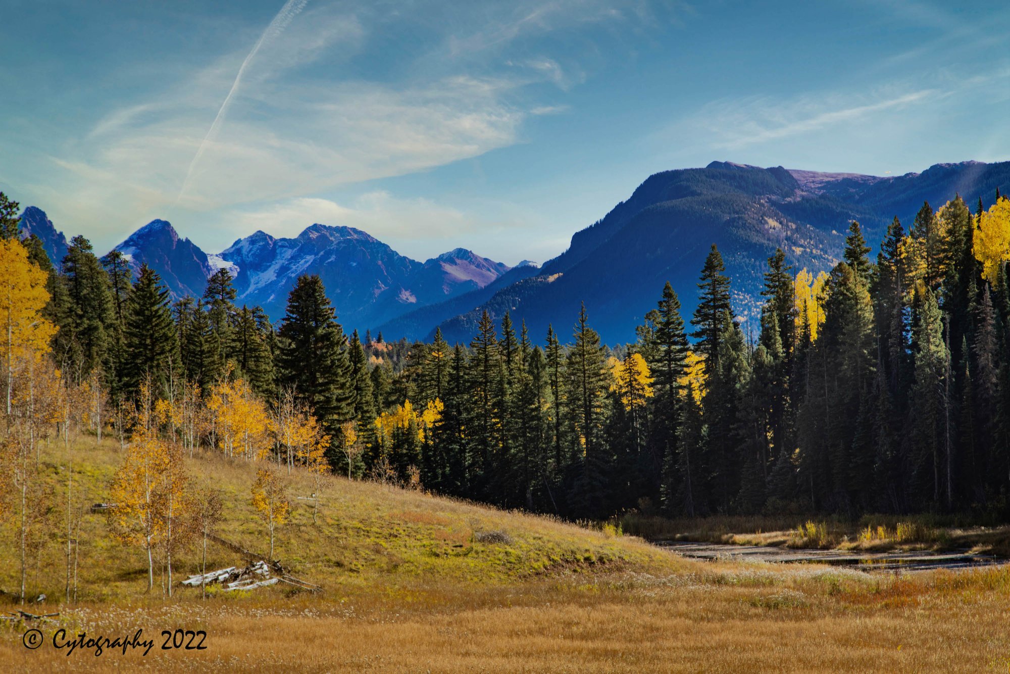 Colorado Fall 2022-Cytog-12 copy.jpeg