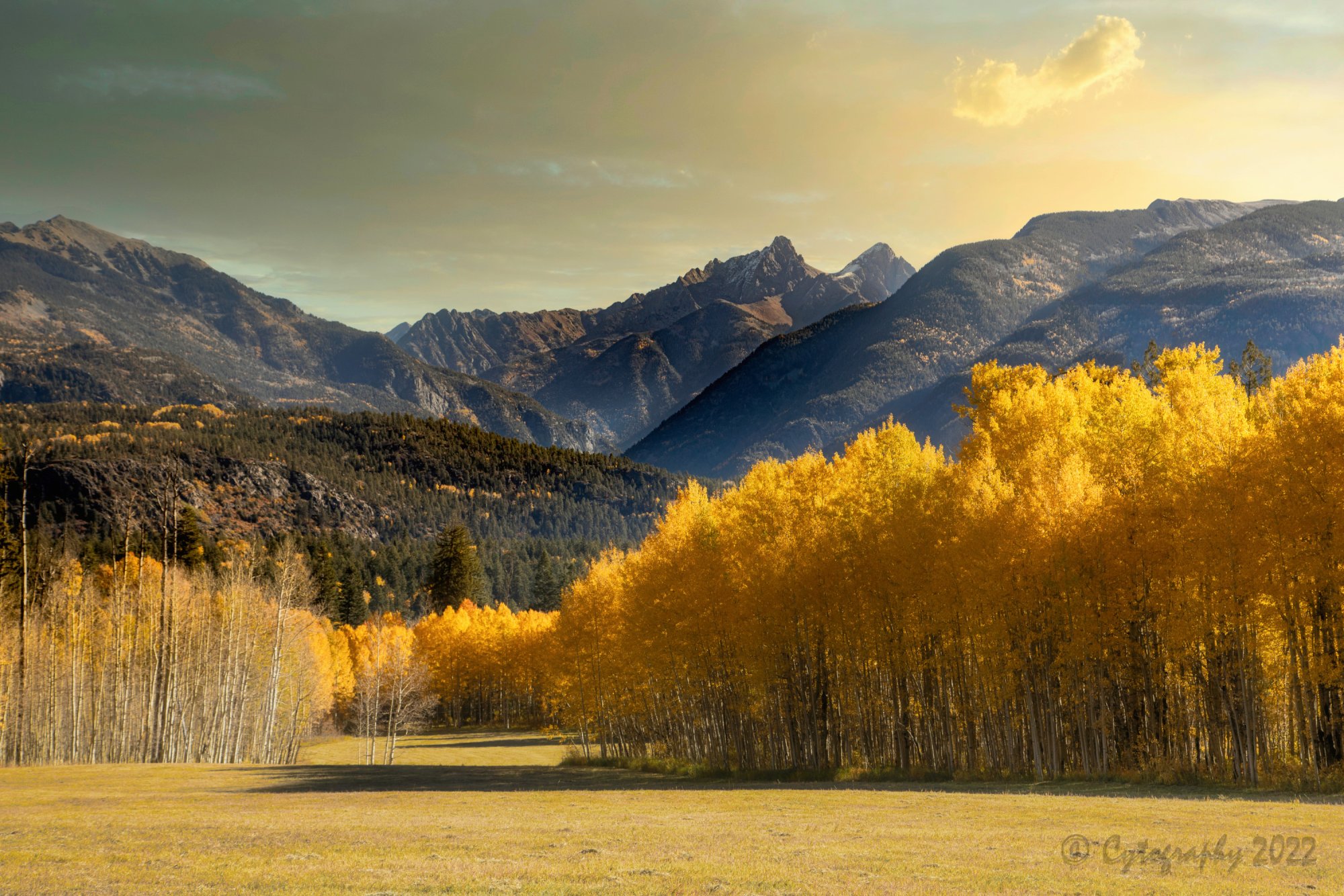 Colorado Fall 2022-cytog-9.jpg