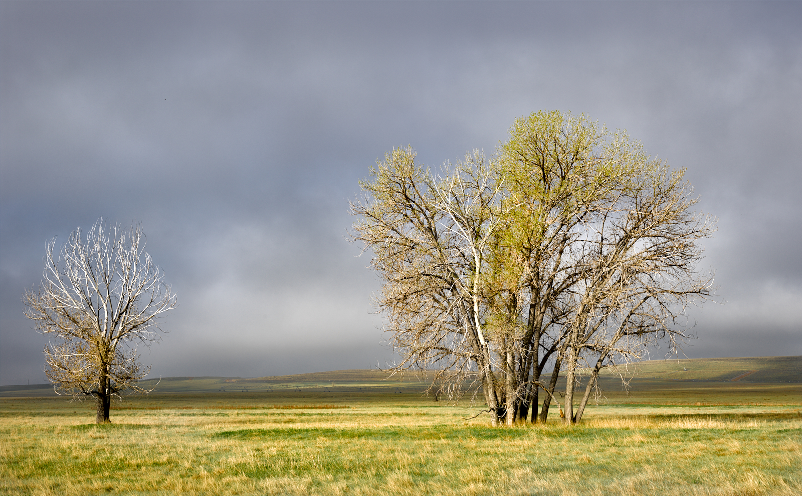 Commerce City_Wildlife_80_1073.jpg