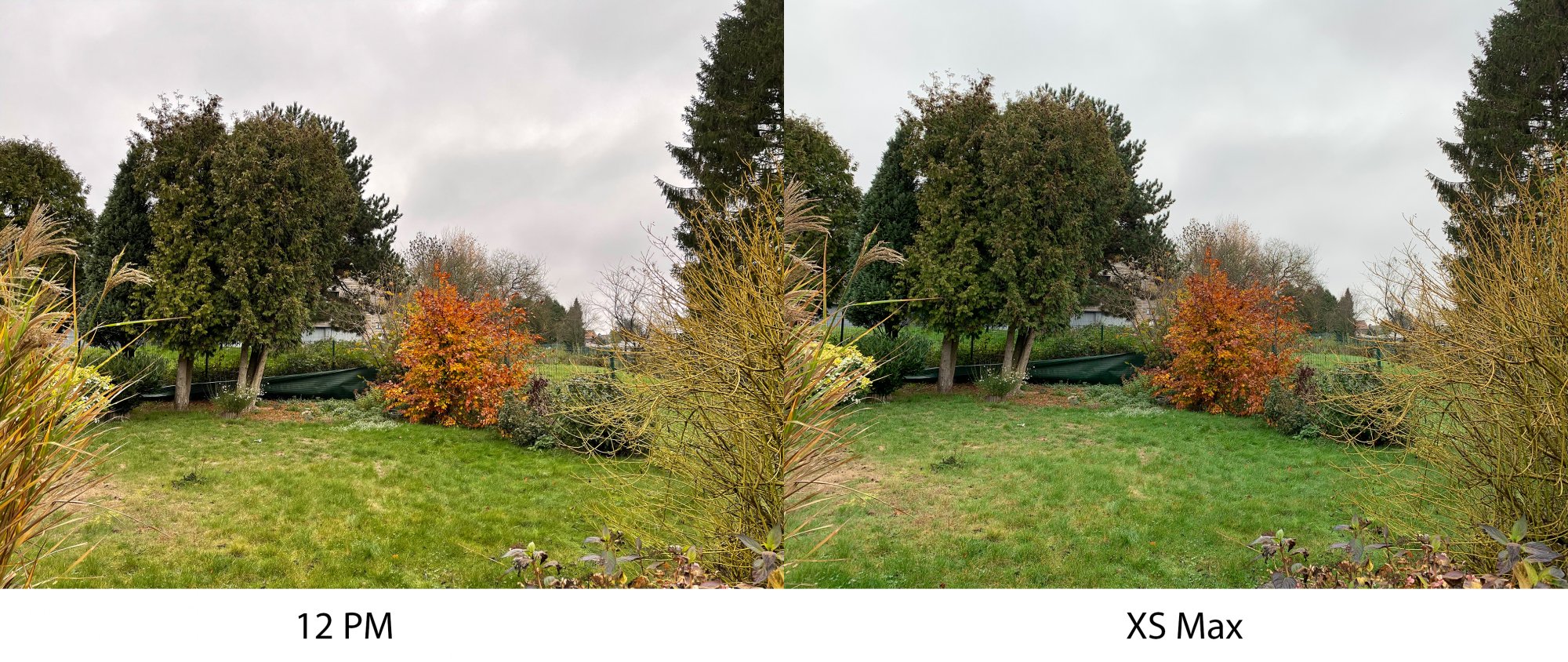 Comparison_2.jpg
