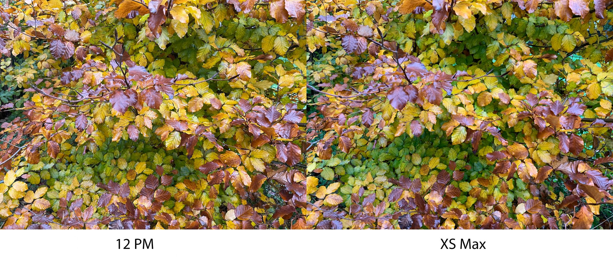 Comparison_3.jpg