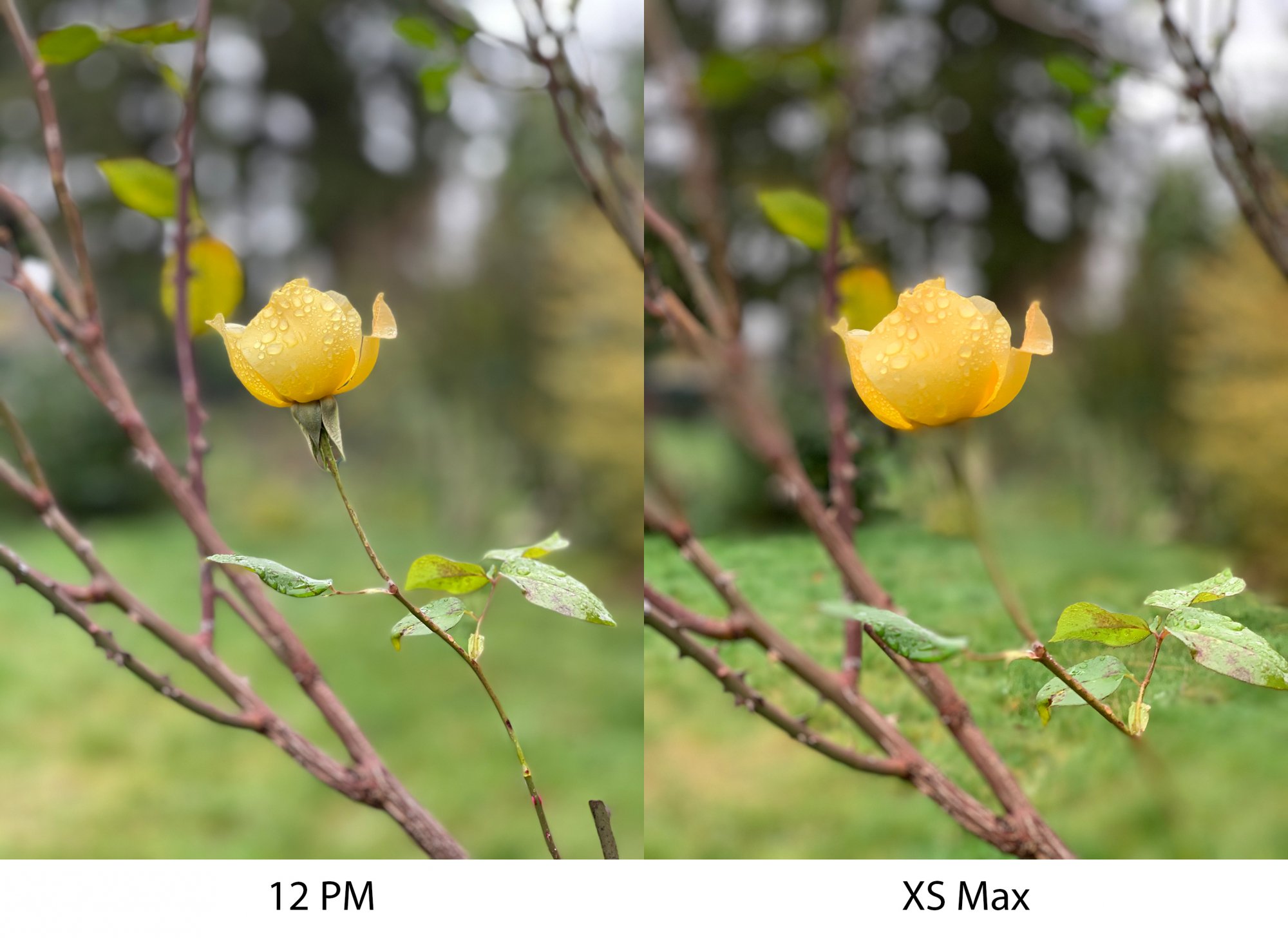 Comparison_6.jpg