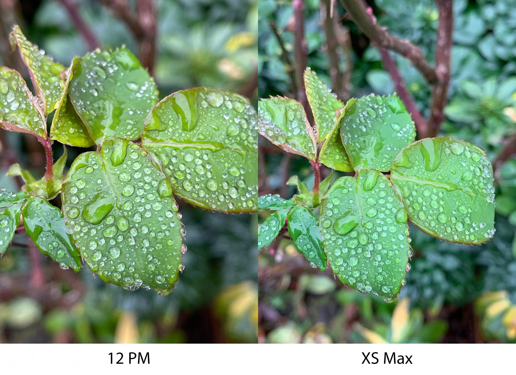 Comparison_7.jpg