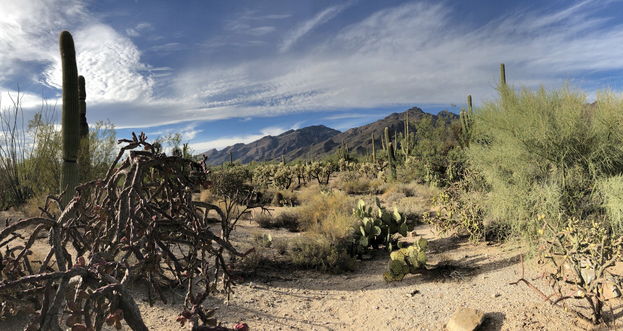 CoronadoNationForestTucson.jpg