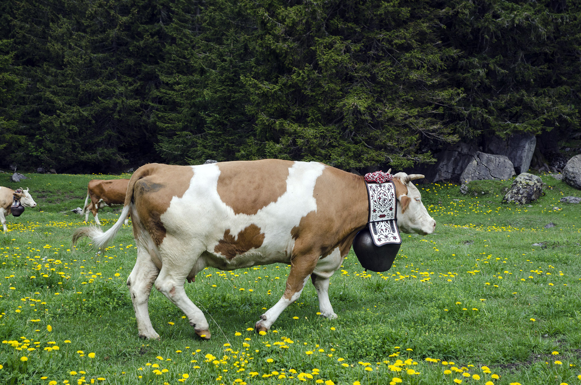 Cowbell - 2000px.jpg