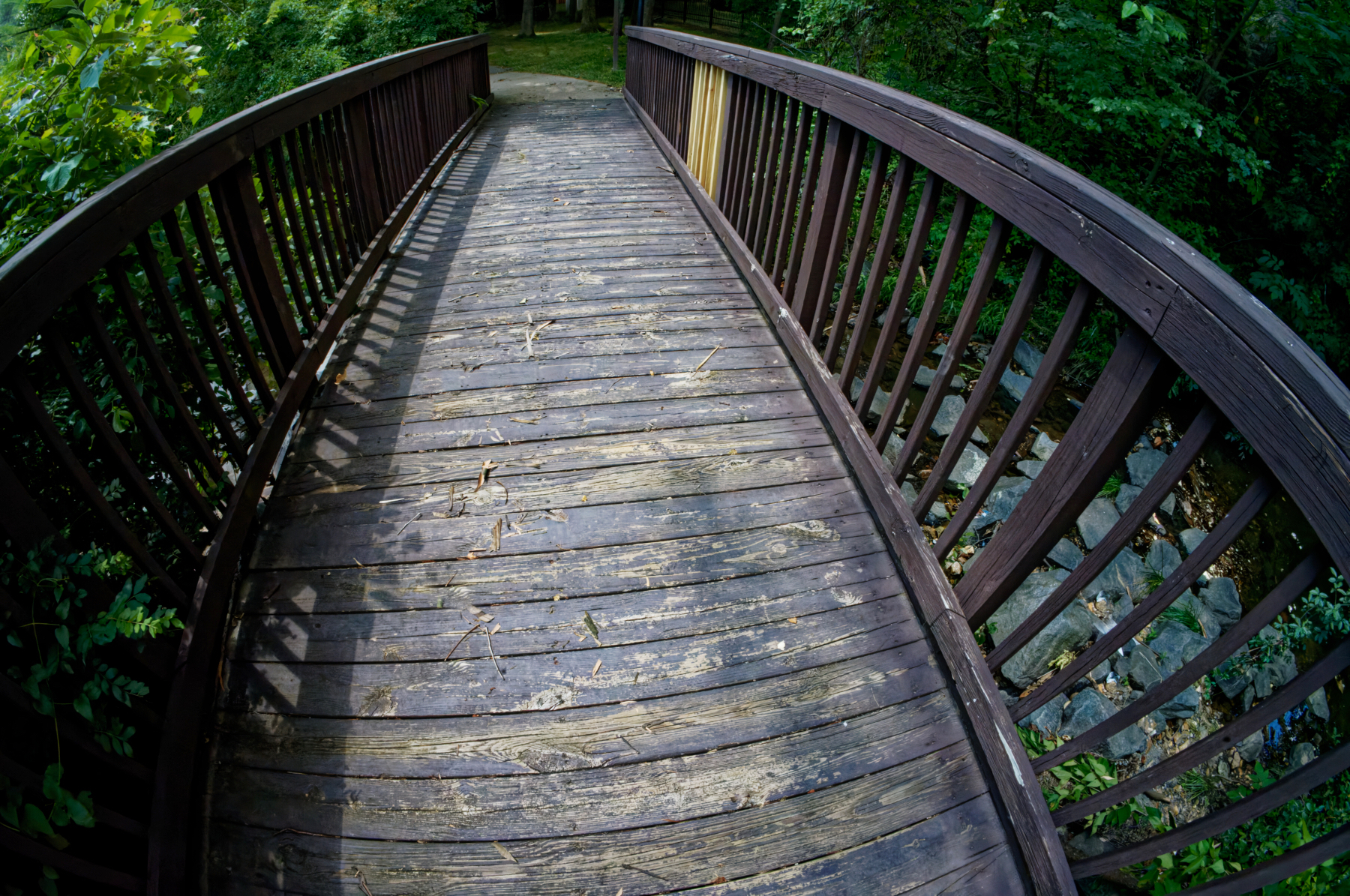 Curvy Bridge.jpeg