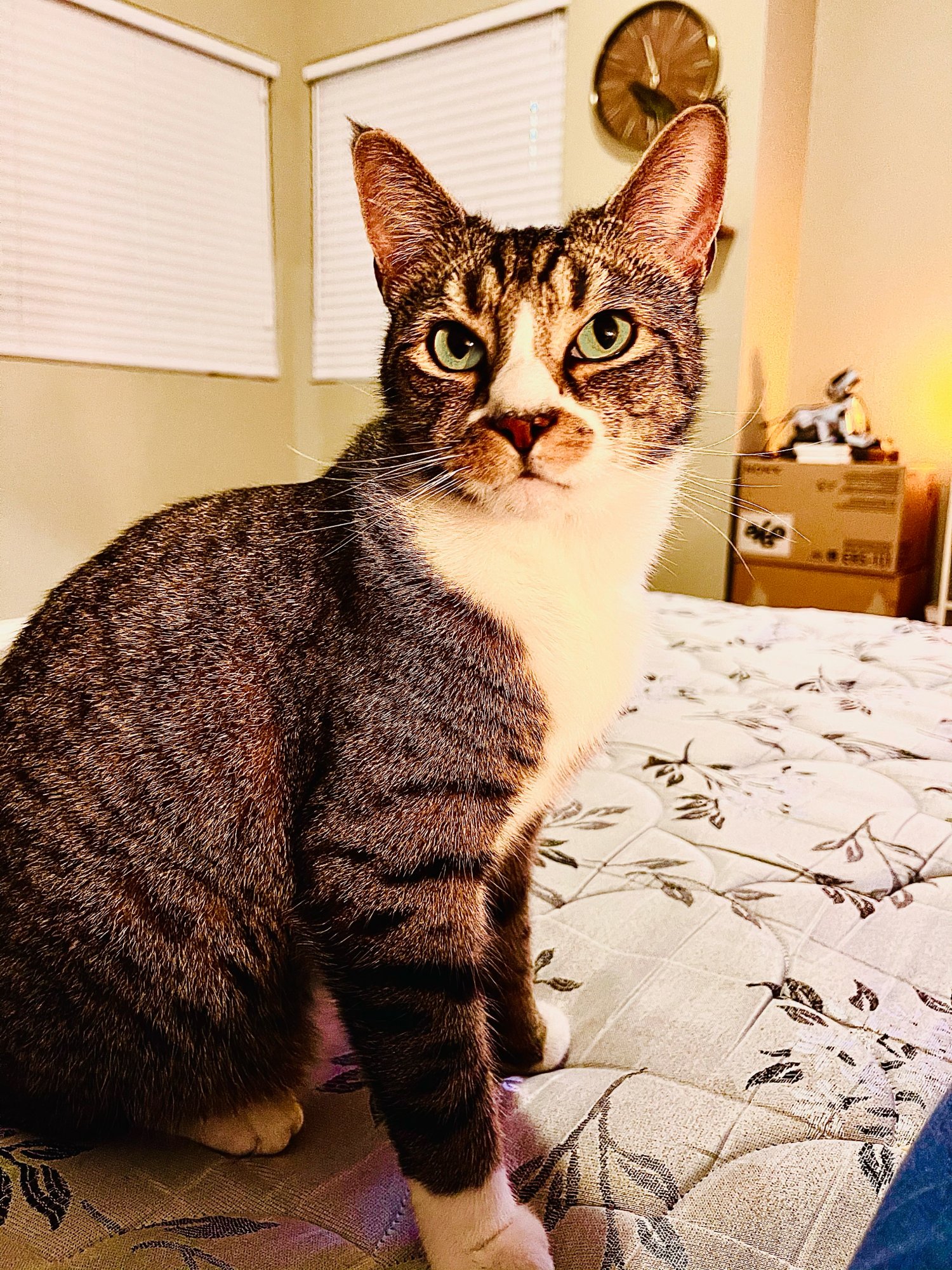 D01F06A7-C048-454E-967F-D191515C9834.jpeg