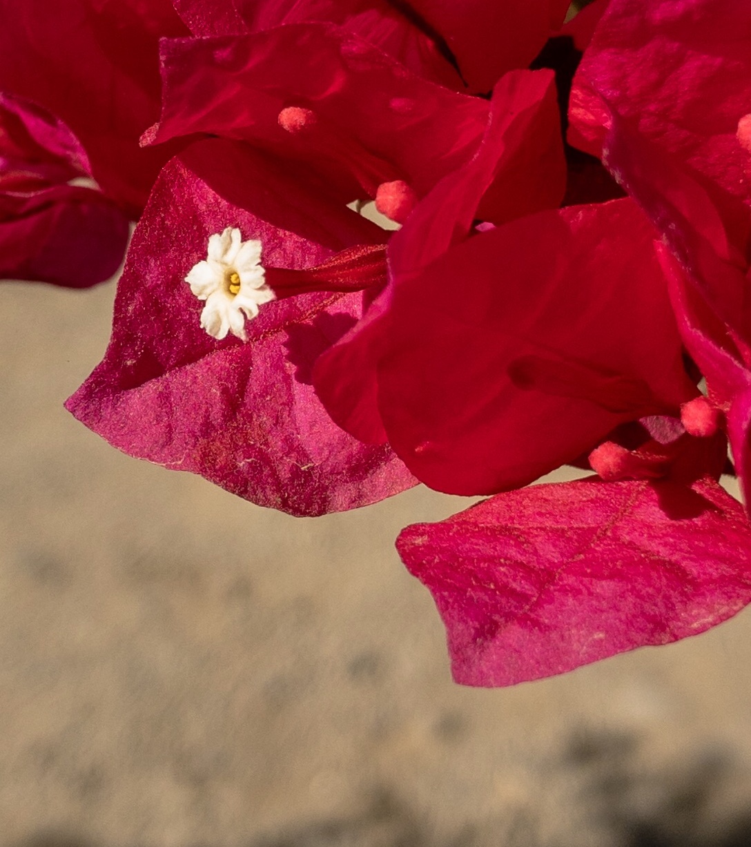 D322481E-D152-4804-BF0C-1EC426BF4165.jpeg