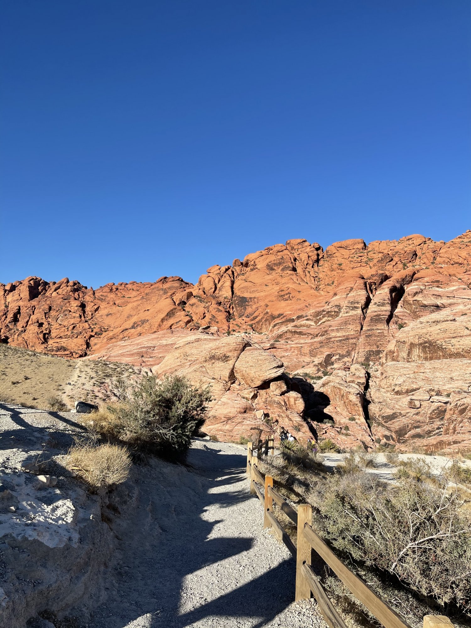 D5D89446-8B2C-4E59-9970-B2186AD07C7B.jpeg