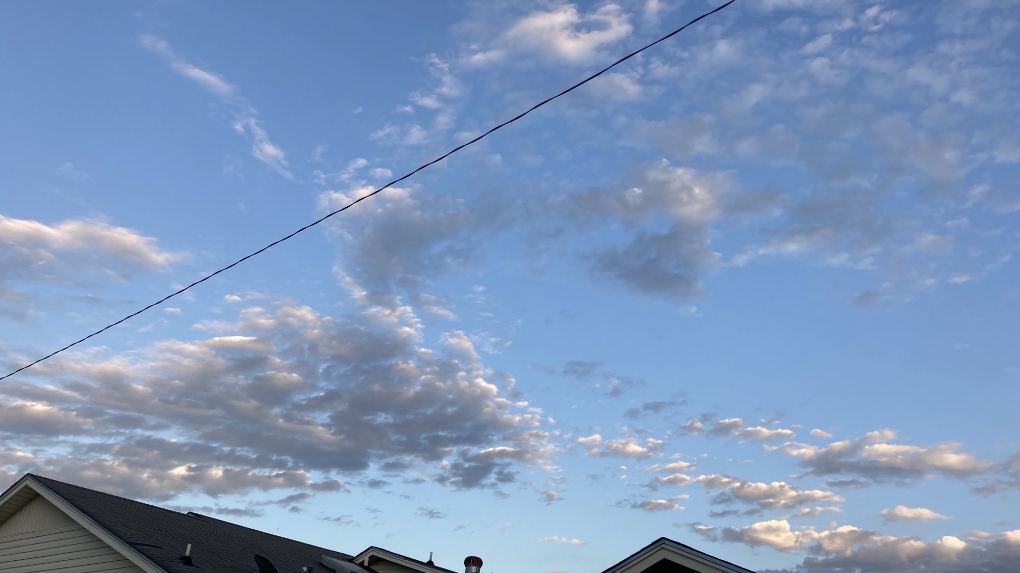 D7F324DE-49F5-4CF1-86FC-30213C685399.jpeg