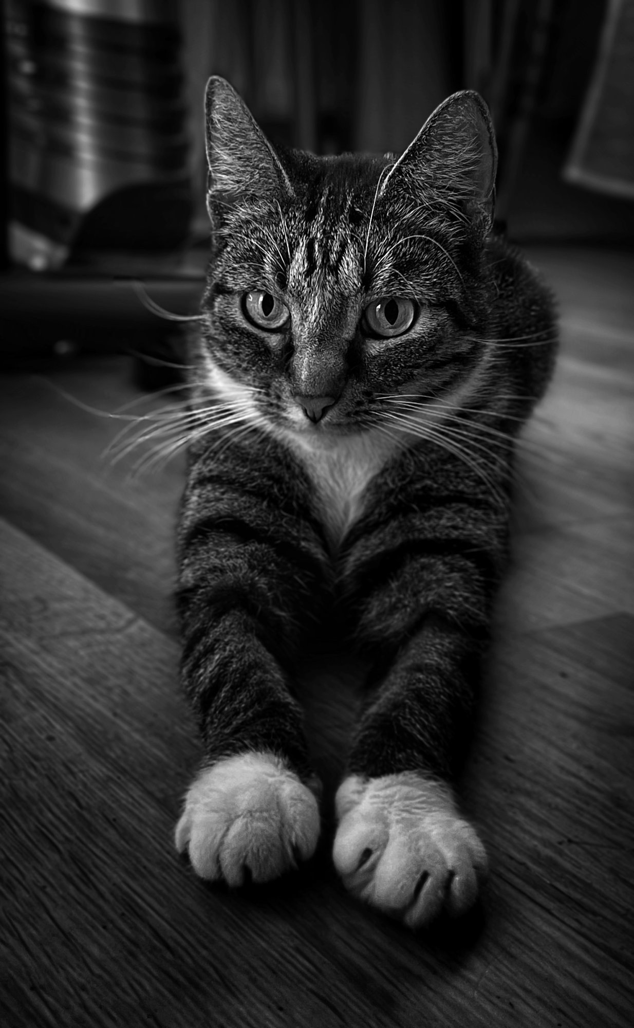 DDFFB770-03F1-492C-A12B-57B6D376ECD6.jpeg