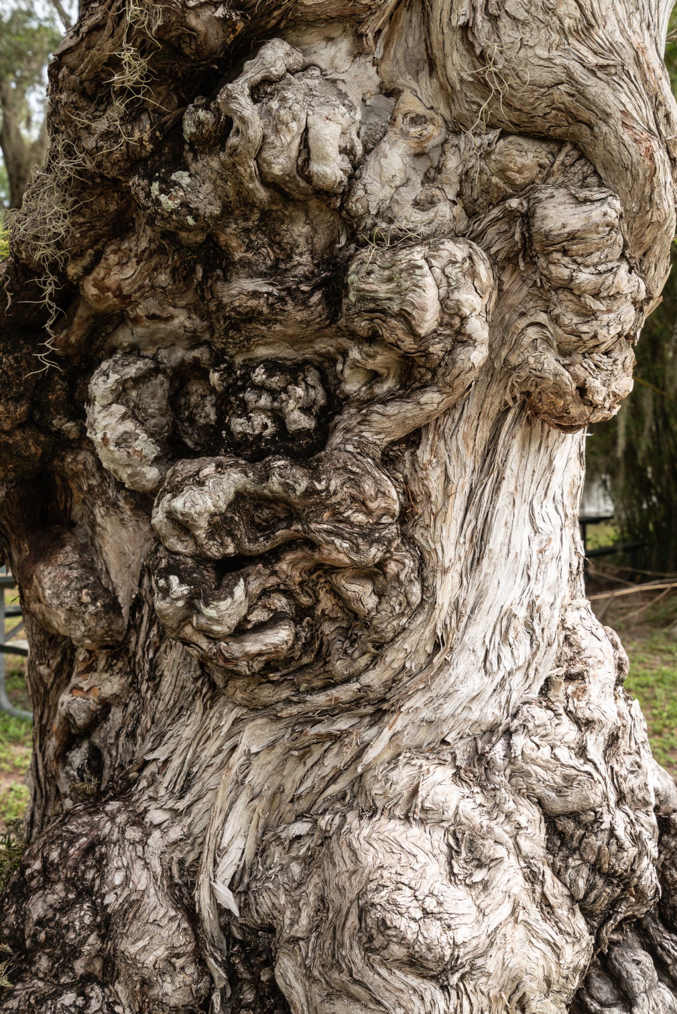 DeBary Hall 2500px-19.jpg