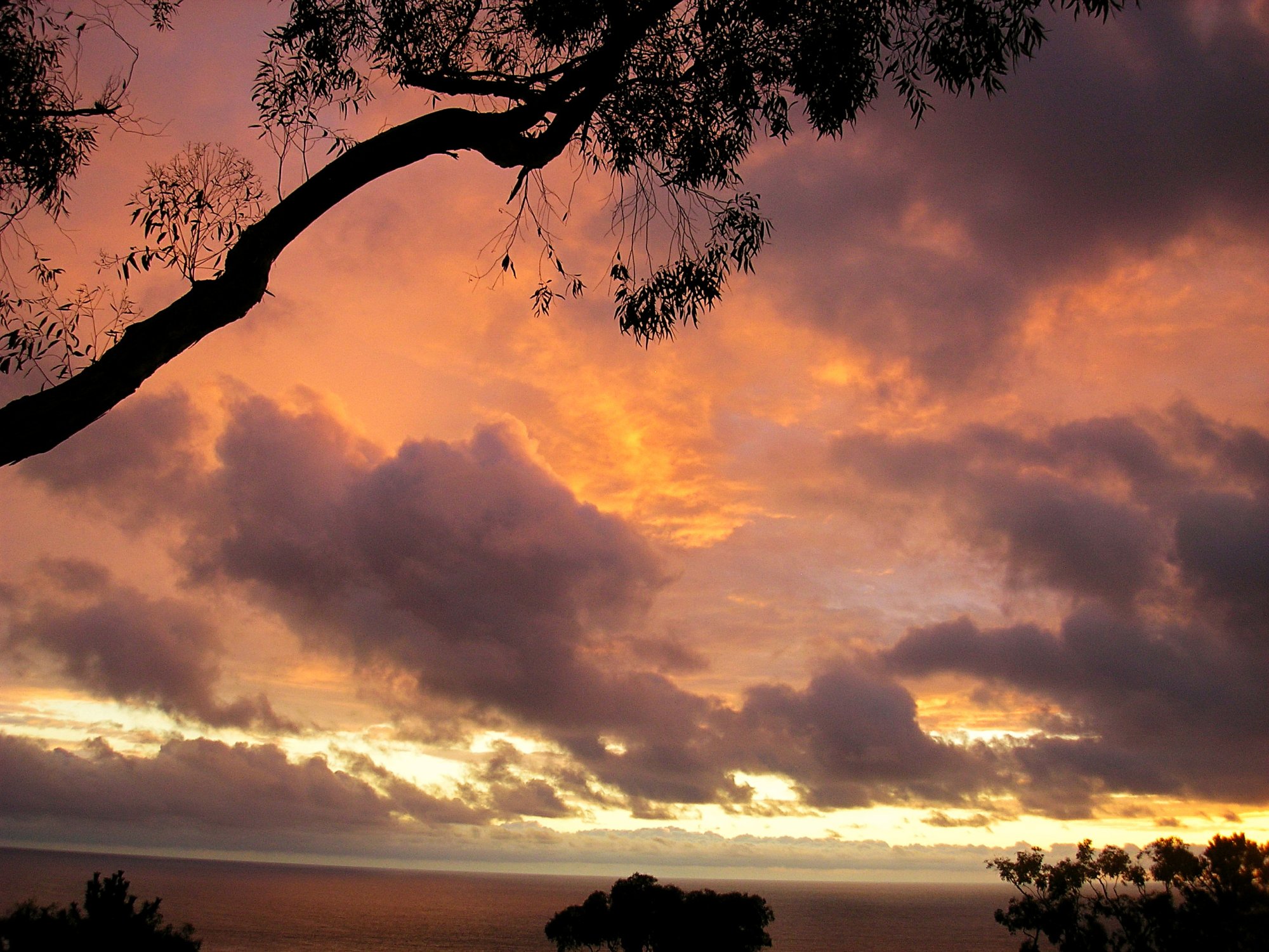 Del Mar sunset x1.jpg