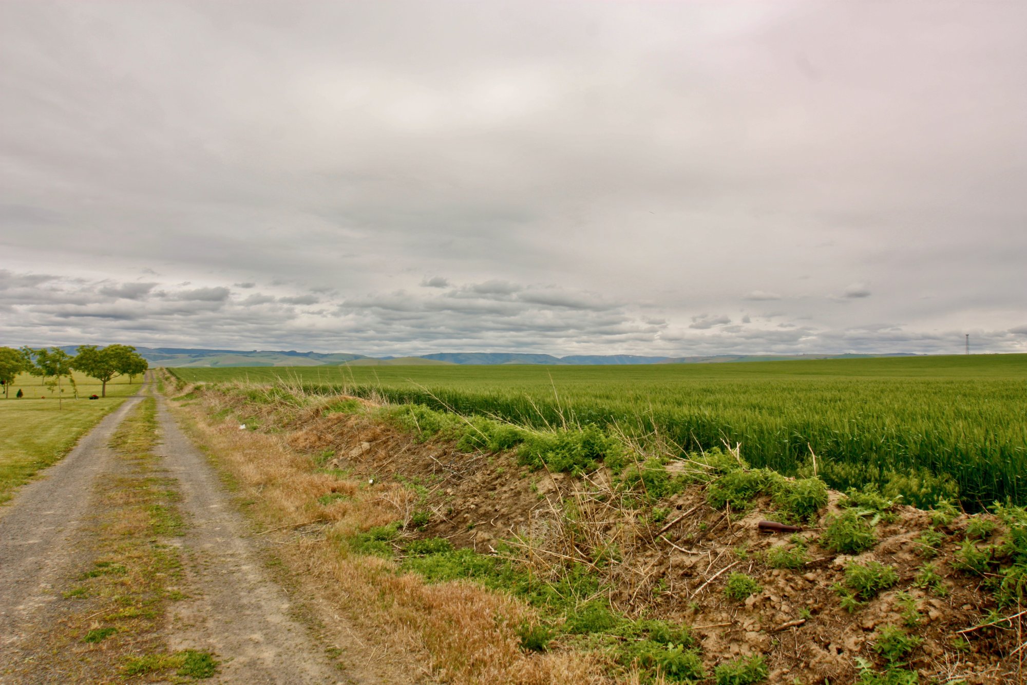 dirtroad - 1.jpeg