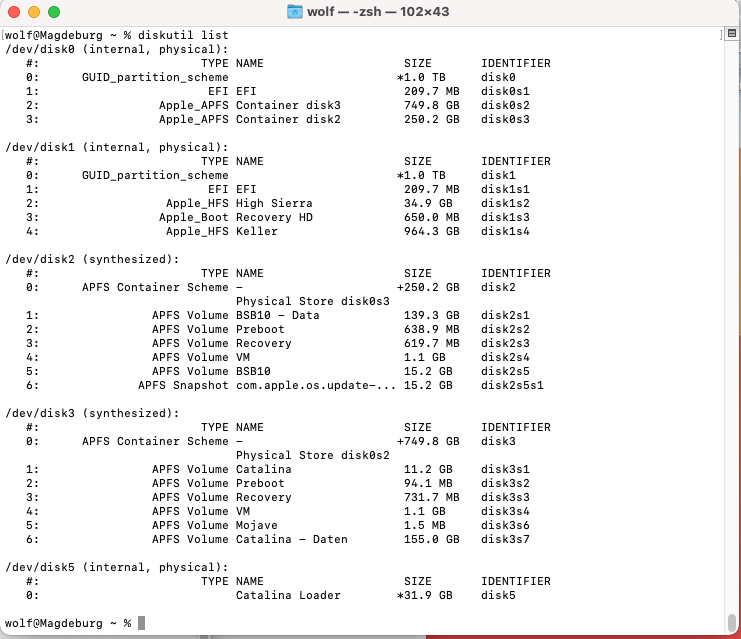 diskutil list.png