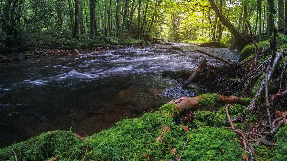 DJI_0220_82220_Cataloochee2.jpg