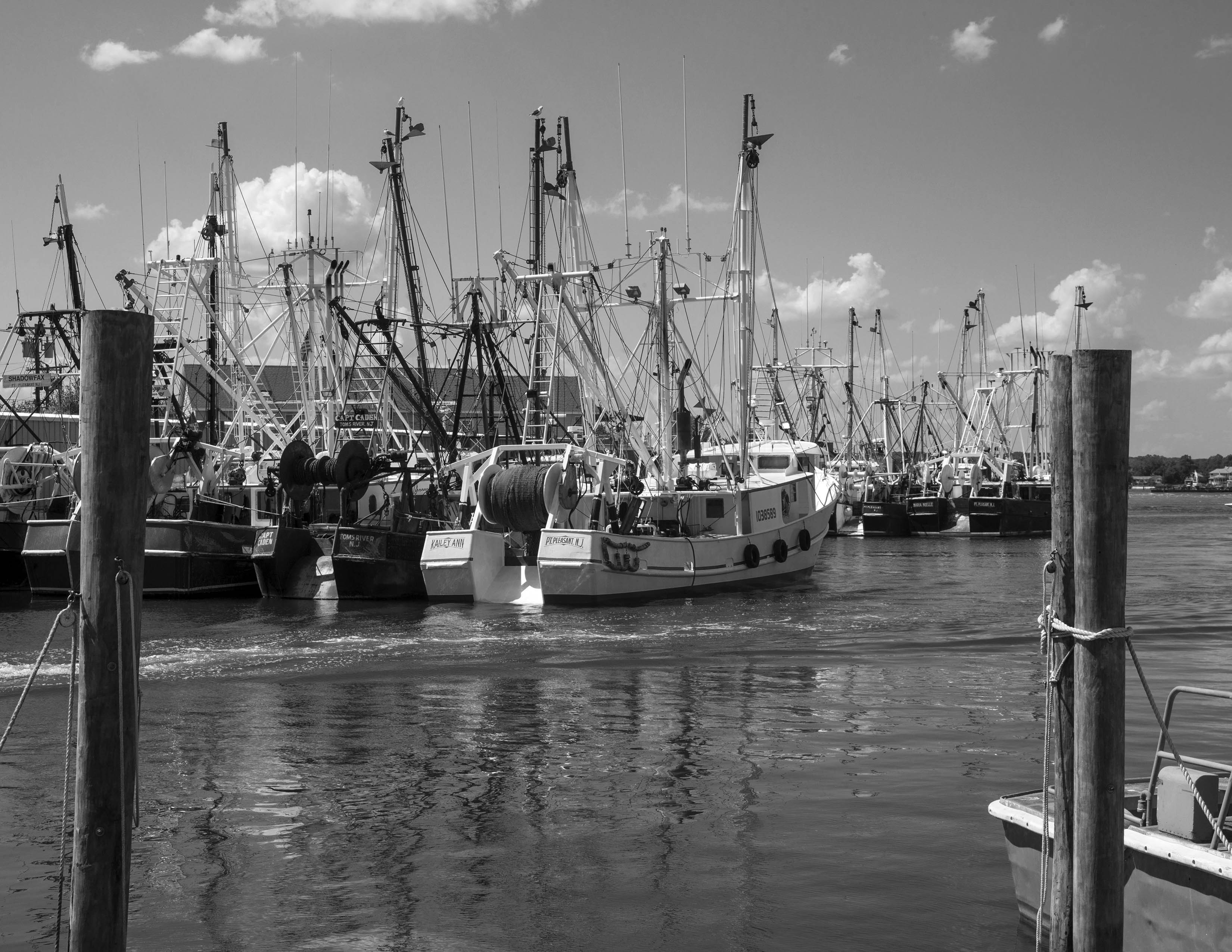 dockside2bwcrop811.jpg