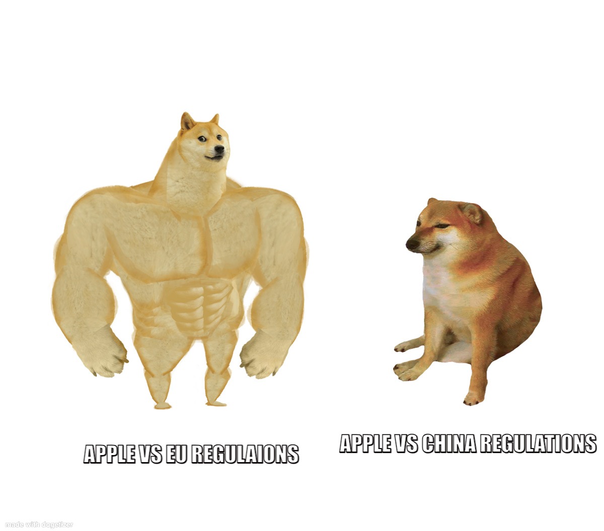 dogetizer-2024-2-20-15-4-25.jpg