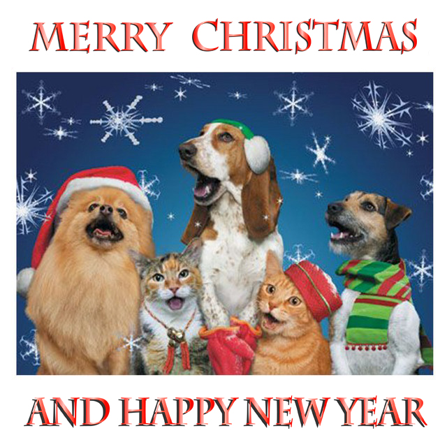 Dogs and Cats Christmas.jpg