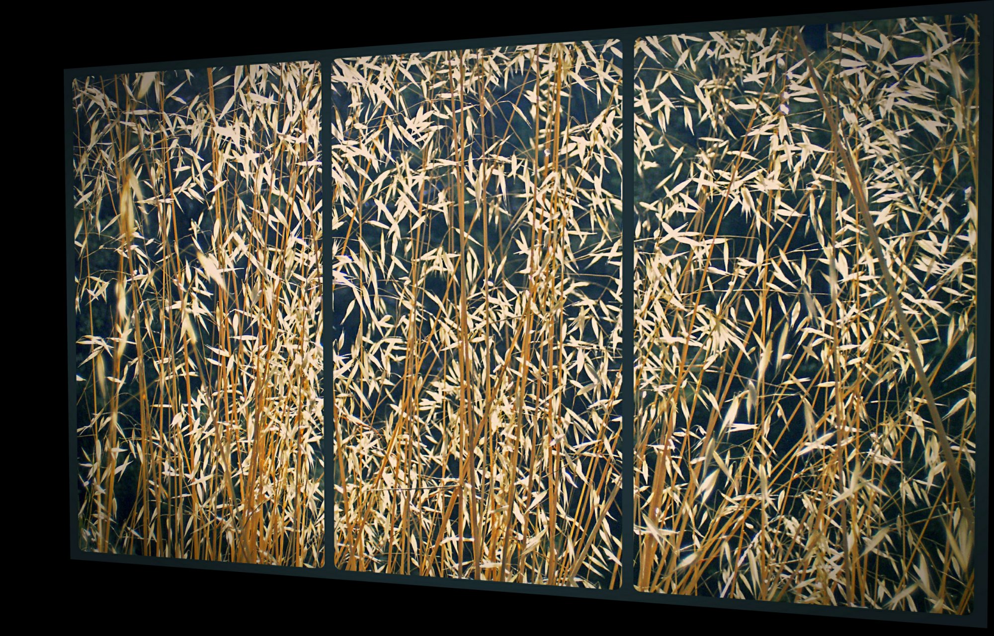 dried grass seed dojo screen perspectivex.jpg