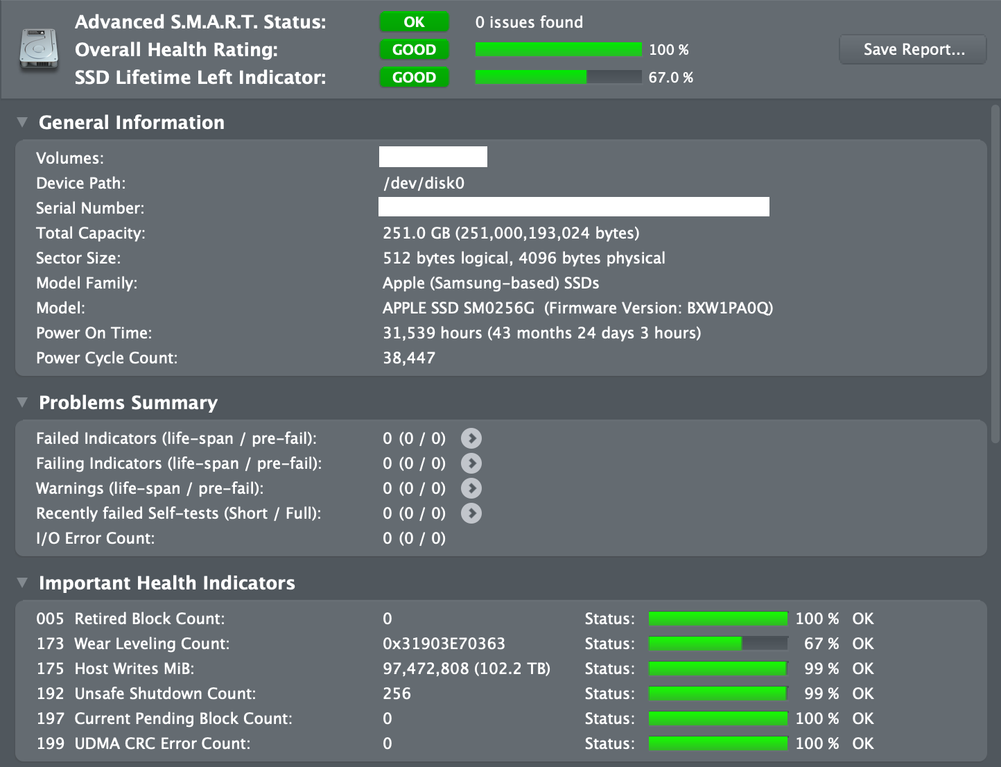 DriveDxReport_APPLE SSD SM0256G_2021-12-13_19-55-28-325 Noserial.png