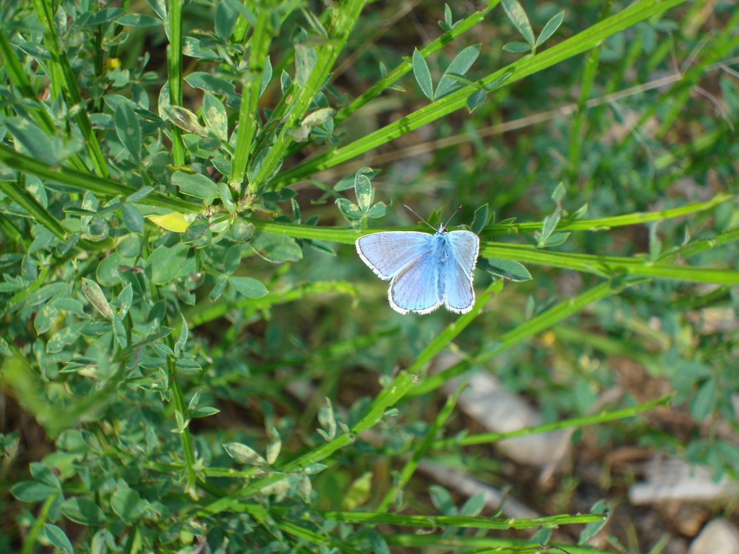 DSC02013.JPG