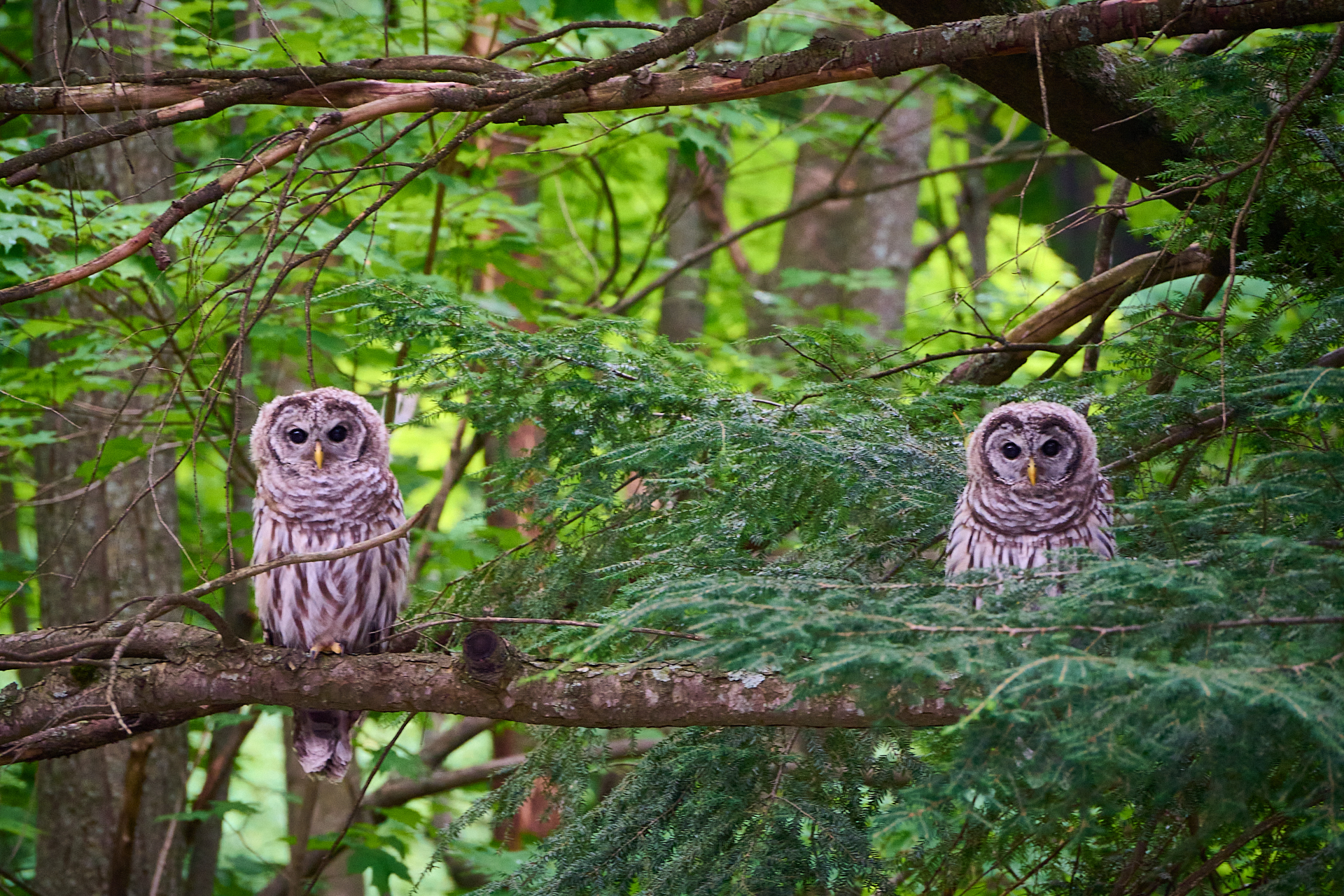 DSC_1277.jpg