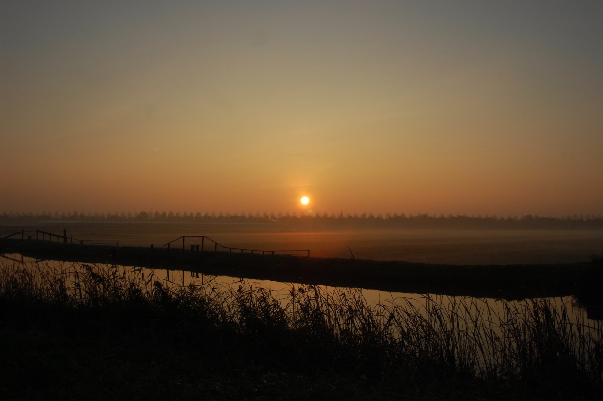 DSC_7283.jpg