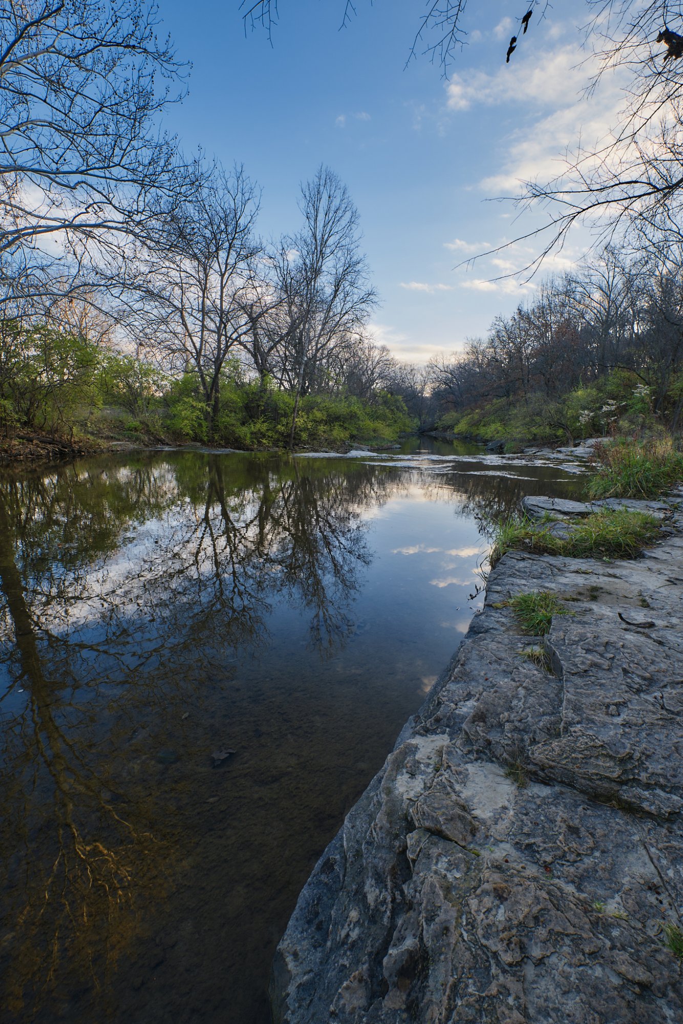 DSCF0237 1.jpg