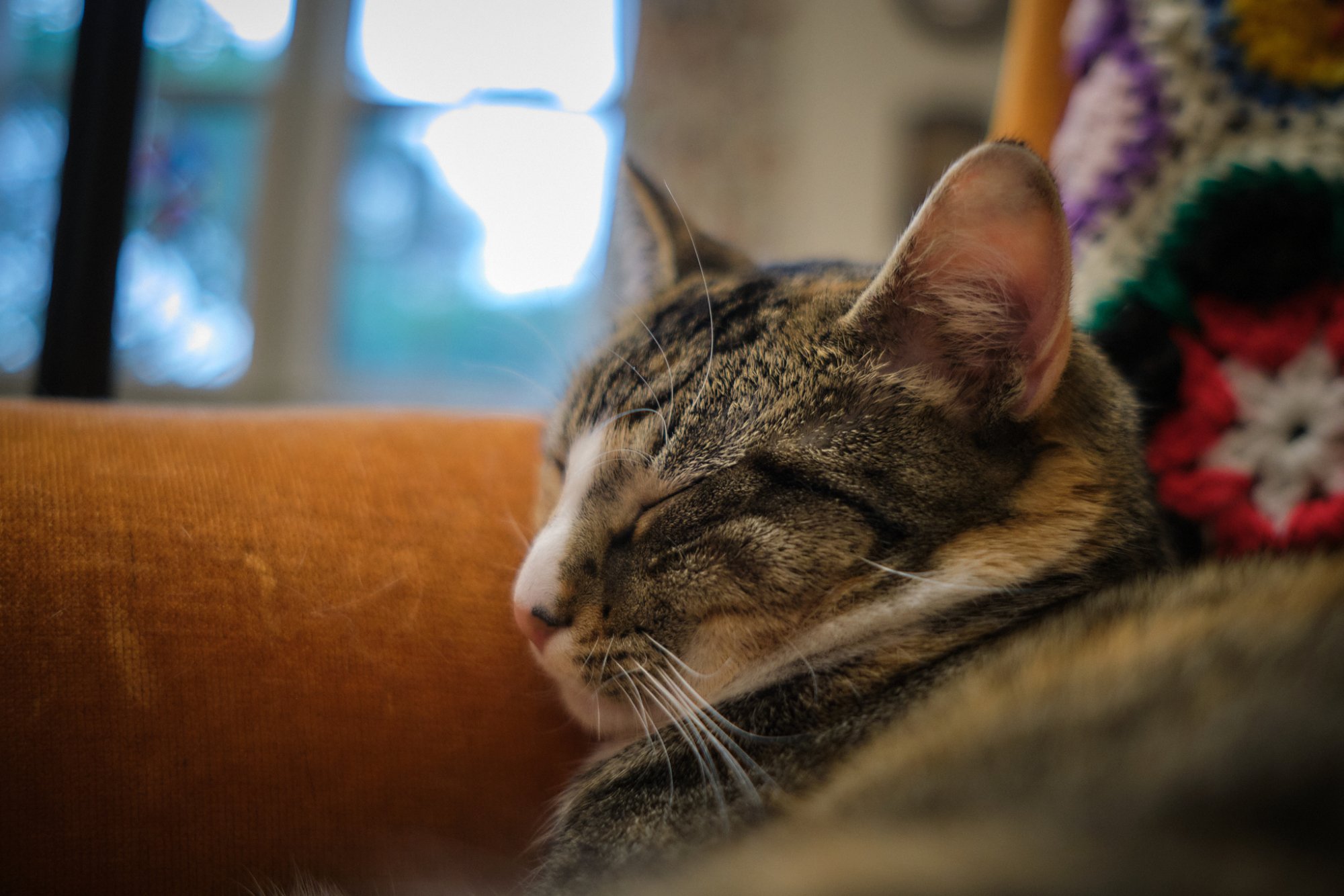 DSCF9120.jpg