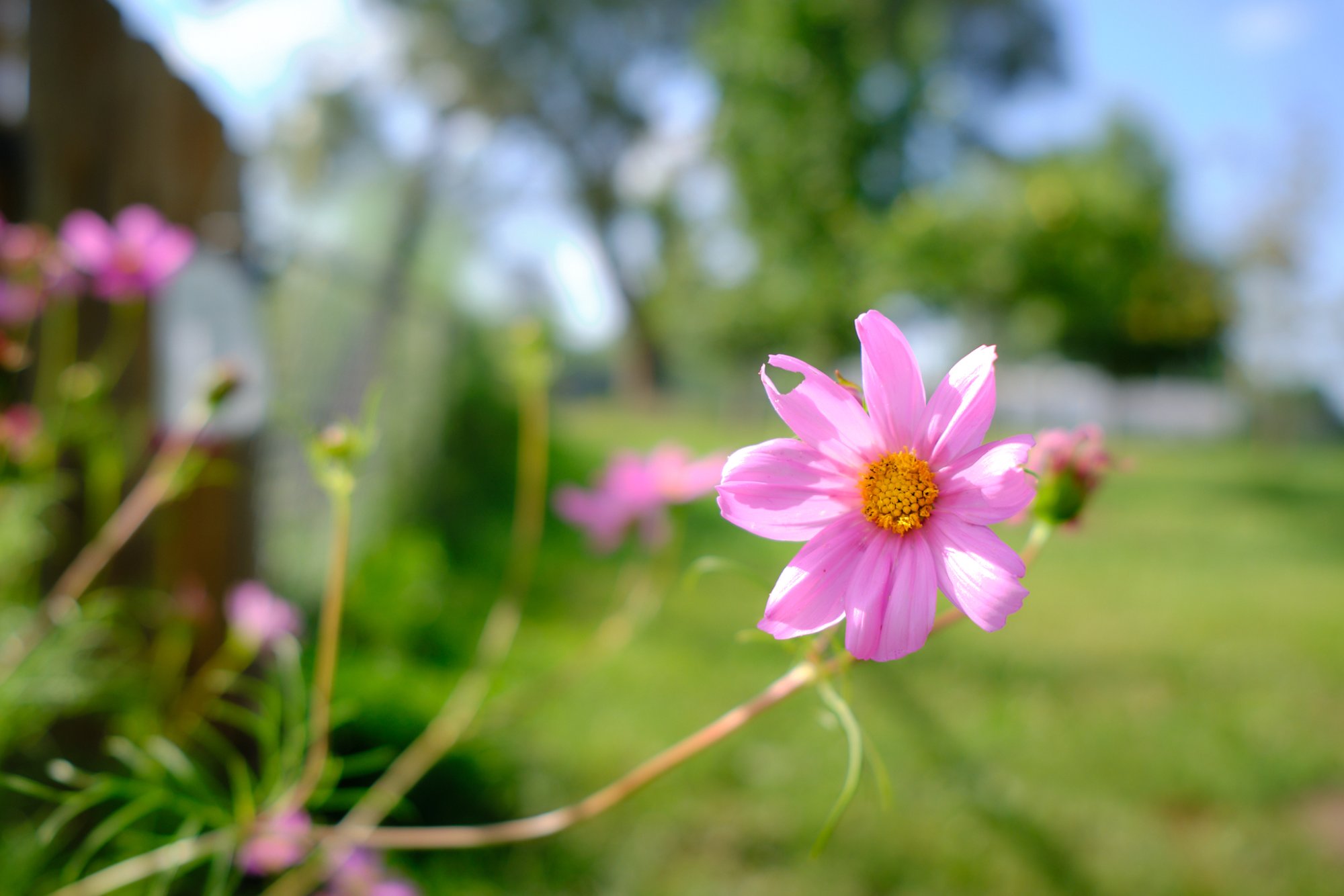 DSCF9188.jpg