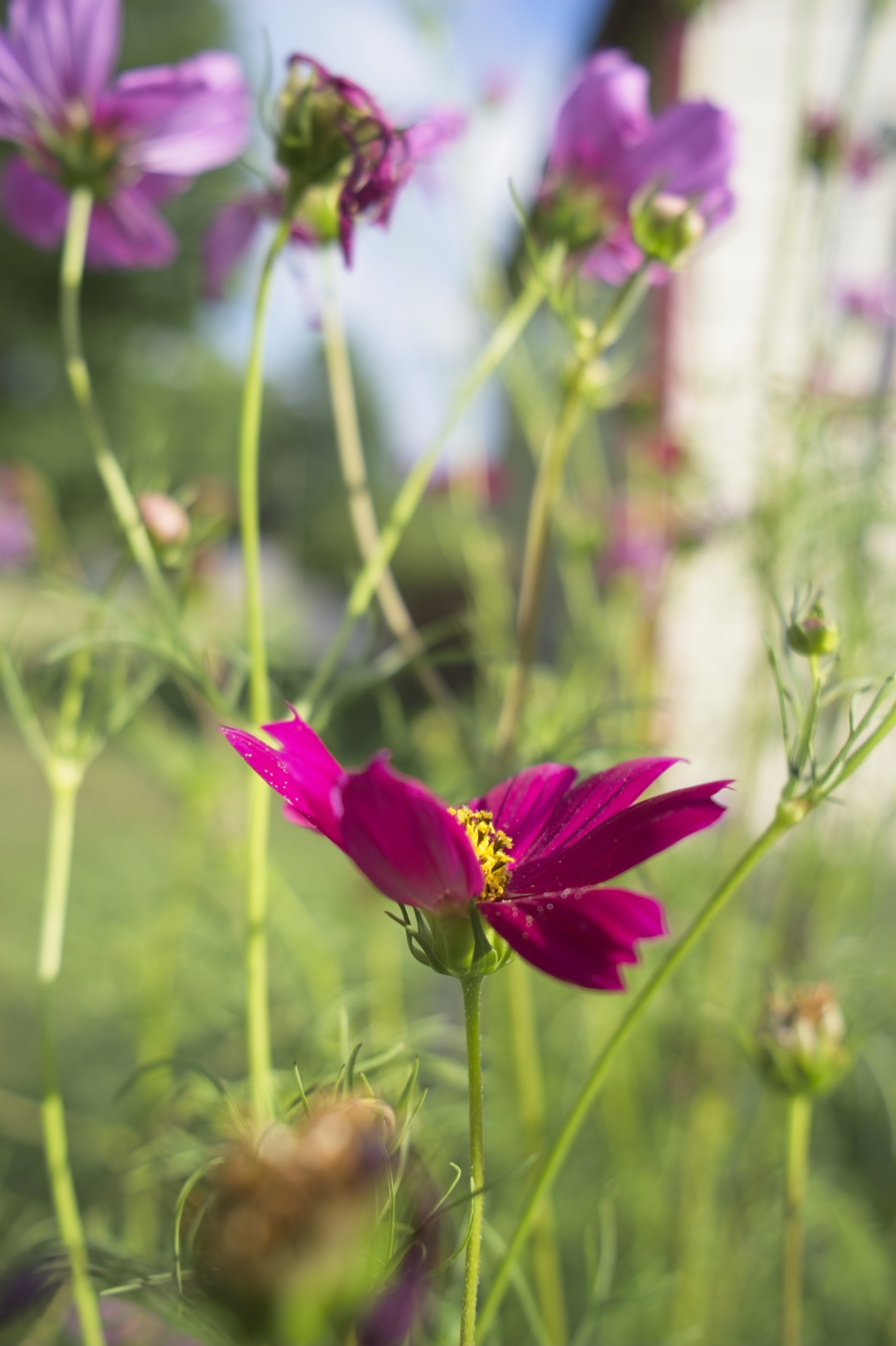 DSCF9191.jpg