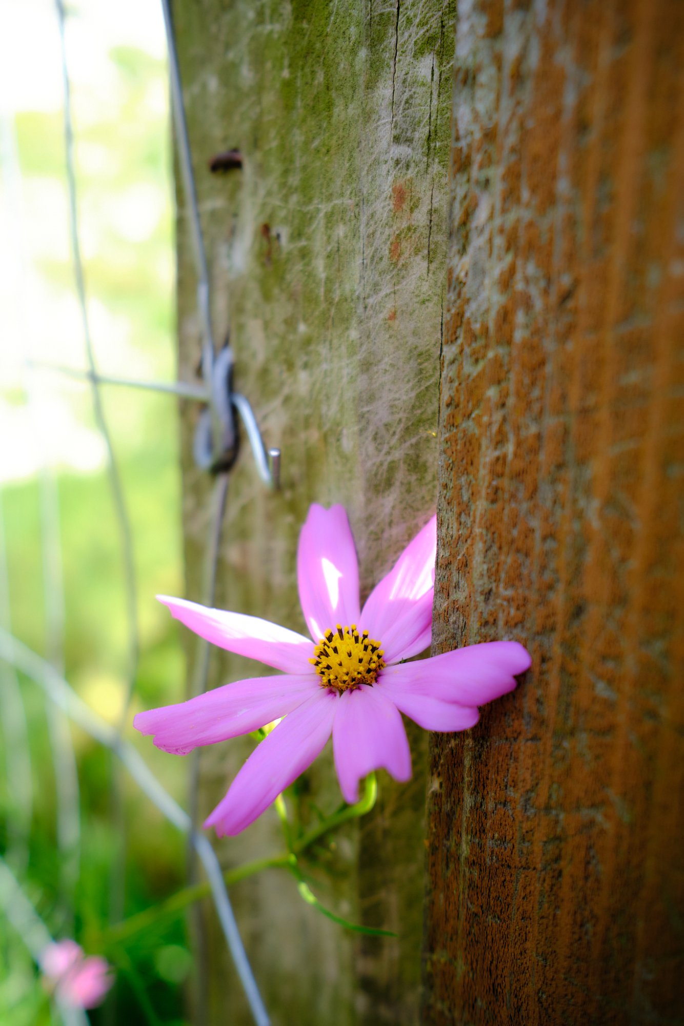 DSCF9192.jpg